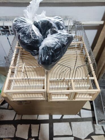 щеглов: Клетки для щеглов — 1