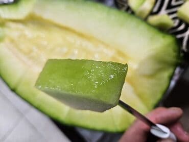 Зимняя дыня (benincasa/wax gourd, «восковая тыква») разрезанная