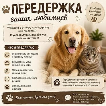 Ветеринар кызматы: ПЕРЕДЕРЖКА домашних питомцев С заботой и любовью, как дома! Бережно — 1