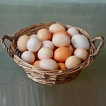 орех очищенный: Яйца домашних кур для инкубации — 1