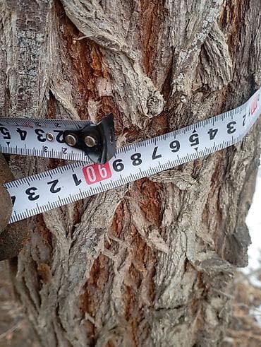 Кара жыгач сатылат. 1 куб