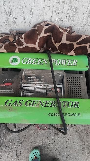 iphone 13 pro max 256: Бензо-газовый генератор Green Power CC3000 LPG/NG-B - Тип — 4