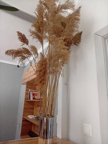 Кыймылсыз мүлк: Like House - Спальные места: одноярусные кровати с прочными — 4