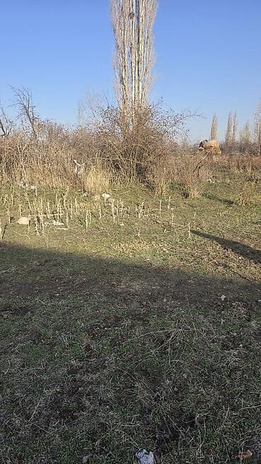 участок лесной: 4 соток, Для строительства, Красная книга — 2