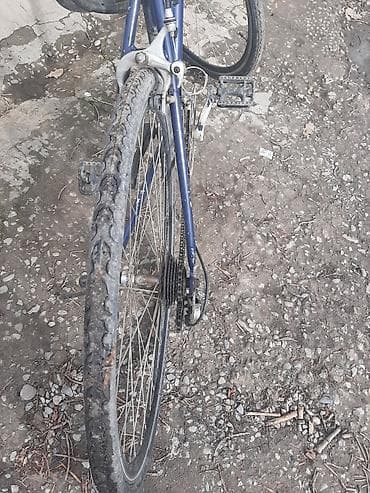 sat math: Продаю Шоссер (Корея) каркас алюминий 7 скоростей колеса 28 задняя — 2