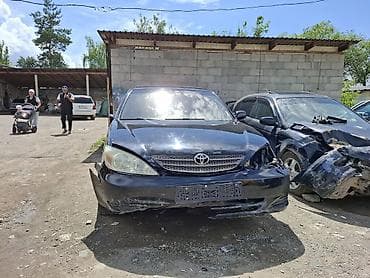 accord 2000: Toyota Camry: 2003 г., 2.4 л, Автомат, Бензин, Седан — 1