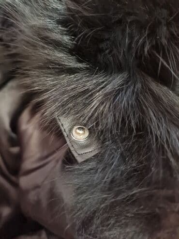 Красота и здоровье: Продаю шубу кролик 100% мех. Хорошее состояние, размер M-L. Отдам за — 6