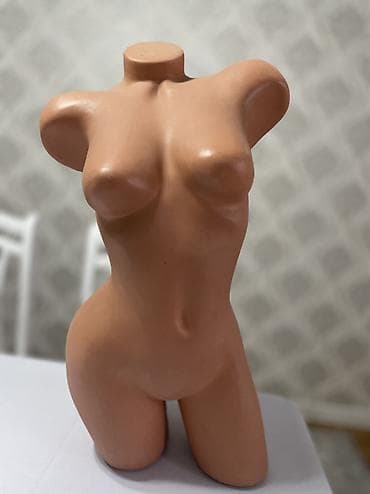 Бизнес үчүн жабдуулар: Маникен — 1