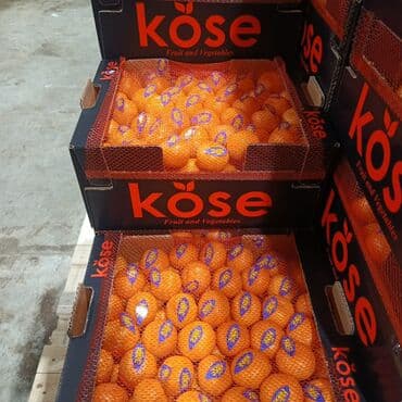 уголь с доставкой: Мандарины Оптом — 5