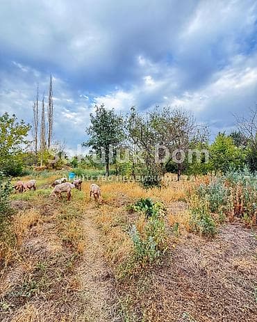 70: 🏠Продается дом в с. Романовка 🟡 Комнаты: 4 🟡 Участок: 15,97 соток — 4