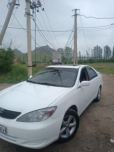 srv 2: Toyota Camry: 2004 г., 2.4 л, Автомат, Бензин, Седан — 3