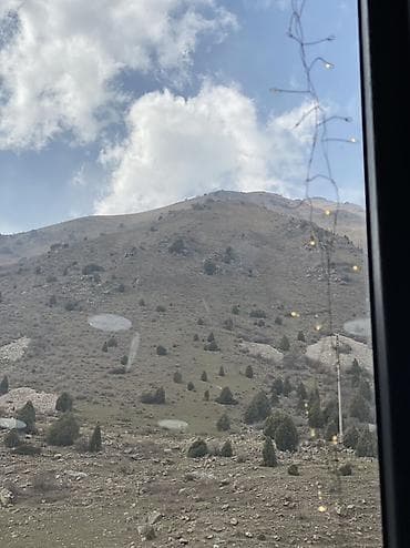 Сокмодон уй салган куруучулар керек