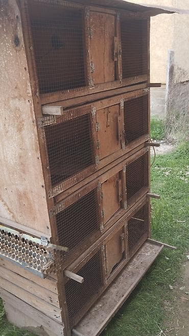 шерсть мериноса: Брудер Диля цыплят - Материал: дерево и металлическая сетка - — 1