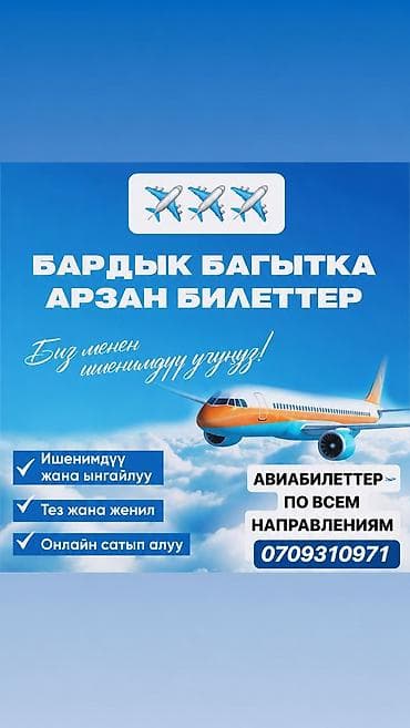 авиакомпания: Авиа Кассир Айнура.Онлайн-продажа авиабилетов по всем направлениям — 2