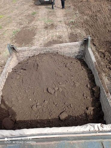 готовые дрова: В тоннах, Бесплатная доставка, Зил — 1