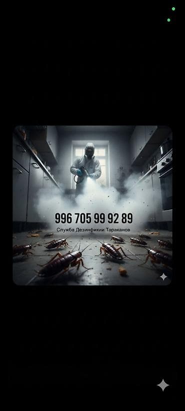 Делить кухню с непрошенными гостями! 🪳🚫 Надоело включать свет и at lalafo.kg Делить кухню с непрошенными гостями! 🪳🚫 Надоело включать свет и