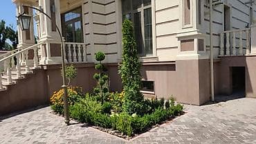 садовник: Профессиональный уход за садом и участком - Комплексное обслуживание — 5