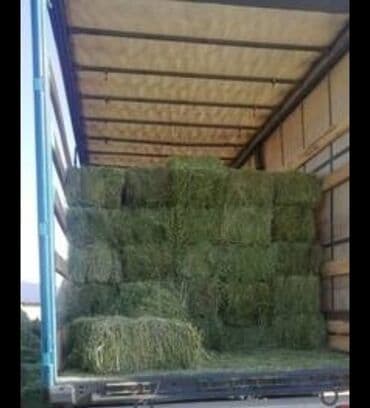 Продаю🍀 Тюки клевера люцерна 2 и 3-укос, хранятся под навесом, сухие