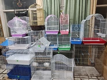 Үй жаныбарлары: Клетки, гнезда, поилки, витамины корма и.т.п — 4