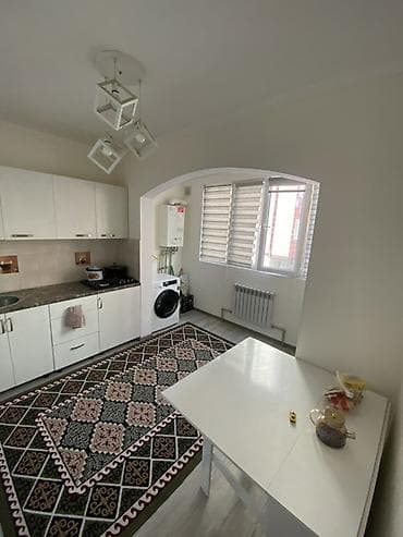 жер үй квартира: 1 бөлмө, Менчик ээси, Чогуу жашоосу жок, Жарым -жартылай эмереги бар — 1