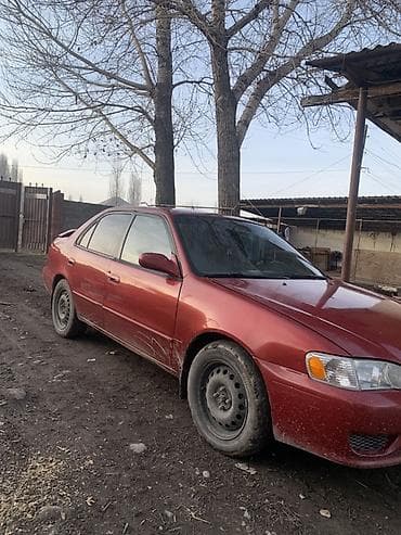 tayota vitz: Toyota Corolla: 2002 г., 1.8 л, Автомат, Бензин, Седан — 3