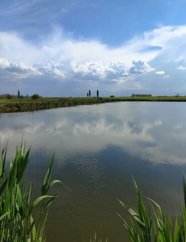 обмен кв на дом: 600 соток, Для бизнеса, Красная книга — 4