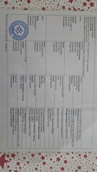 коровы молочные: Немецкая овчарка, Более 5 лет, Самец, С прививкой, С родословной — 4