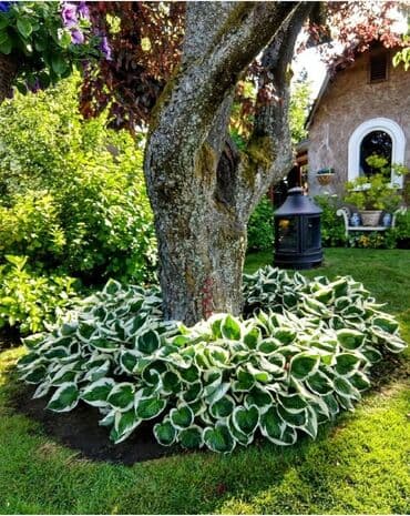 дизайнерский ремонт бишкек: Дизайн — 6