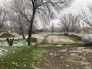 большой участок: 80 соток, Красная книга — 9