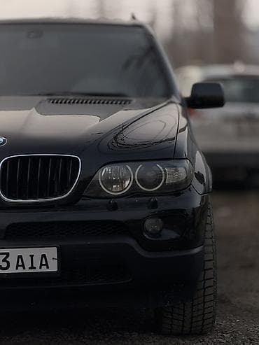 летняя резина 16: BMW X5: 2002 г., 4.4 л, Автомат, Бензин, Внедорожник — 5