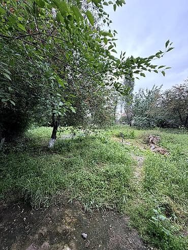 как сдать жилье в аренду: 🏡 Продаётся уютный дом в г. Шопоков ✨ Участок — 15 соток ✨ Дом — 120 — 6