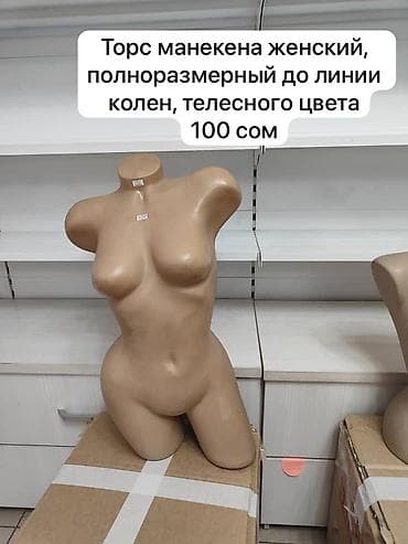 кыргыз кийими: Торговое оборудование для магазина женской одежды 

Все цены на фото — 10