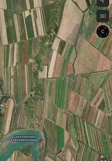 арбуз поля: 500 соток, Для сельского хозяйства, Красная книга — 5