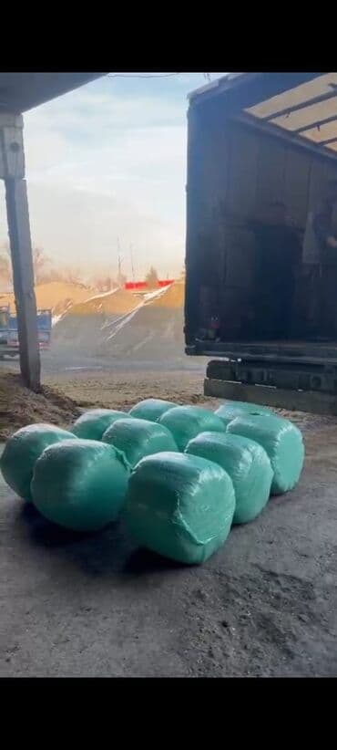 силос сатылат: Продаю !!! СИЛОС самовывоз "цена 7сом " — 1