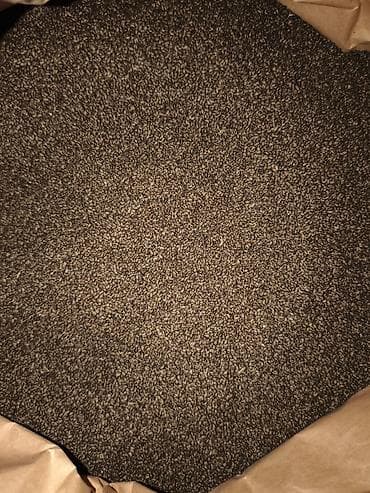 Үй жана бакча үчүн декор: Уруктар тоют өсүмдүктөрүнүн: Беде — 3