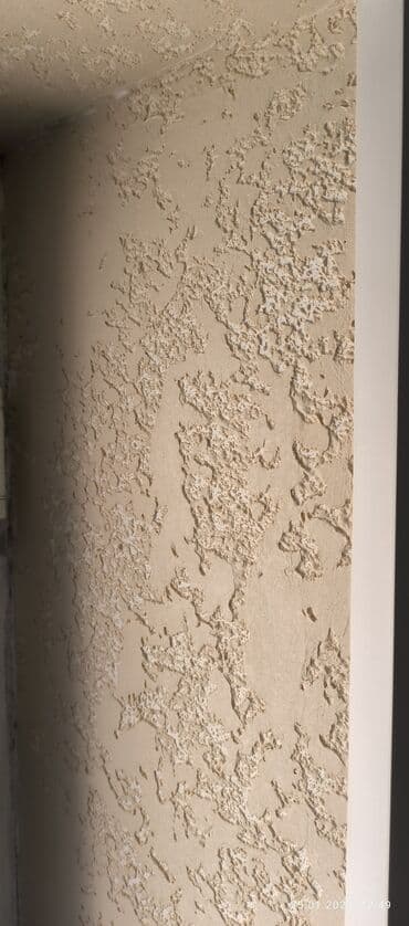 Шаймандарды ижарага алуу: Декоративдик шыбоо | Текстуралык 3-5 жылдык тажрыйба — 7