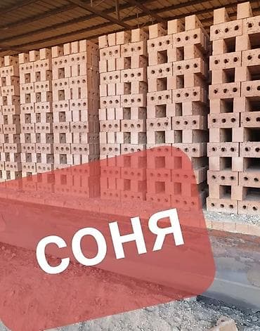 Промышленная химия: Пустотелый, дырчатый, Жженый кирпич, Полублок, 250×120×90 — 7