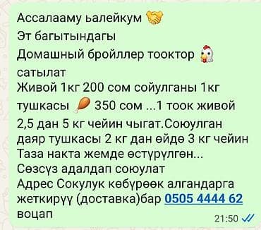 брой: Бройллер бройллер домашный бройллерлер сатылат живой вес 200 сом тушка — 3