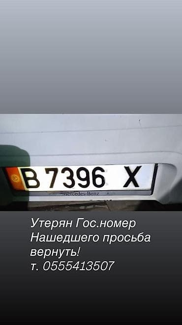 Госномер автомобиля: B 7396 X - Тип: регистрационный номерной знак