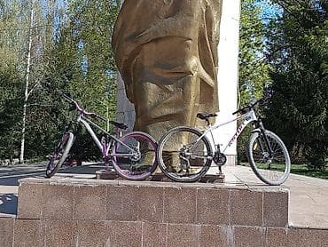 chery fora: Горный велосипед, Stels, Рама M (156 - 178 см), Алюминий — 2