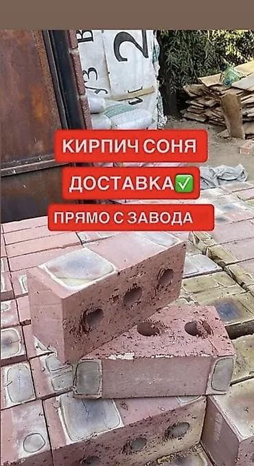 декоративный мох: Кирпич «Соня» пустотелый (трёхщелевой) - Материал: керамический — 3