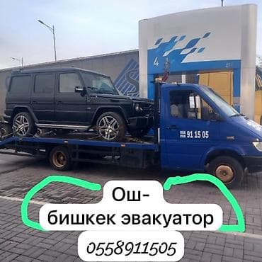 томография ош адрес: С лебедкой — 1