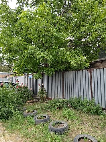 делать: Продаю 4к дом, район рынка Азиз (Молодая Гвардия-Кокчетавская) и парк — 3