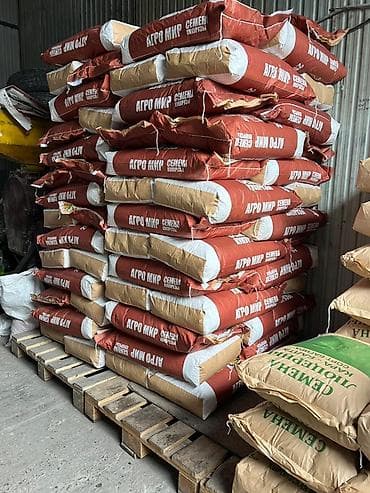 мука 1 сорт: Манас 1000жугору урук данга кетет ✅ Сапаттуу үрөн – Мол түшүм! 🌽 — 3