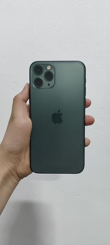 IPhone 11 Pro, Matte Midnight Green, 100 %