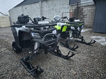 rx 6600: Квадроцикл Бензин, 250 куб. см, Взрослый — 8