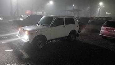 сди матор: ВАЗ (ЛАДА) 4x4 Нива: 2002 г., Механика, Бензин, Внедорожник — 4