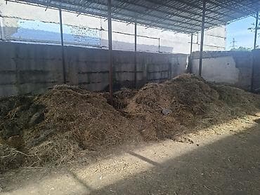 отлов рыбы: Удобрение — 1