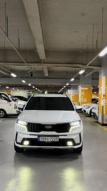 2020: Kia Sorento: 2020 г., 1.6 л, Автомат, Гибрид — 3
