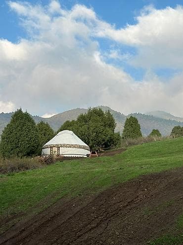 Кашка-Сууда боз үй ижарага берилет🌲 Достор, Кашка-Суунун гүлдөп